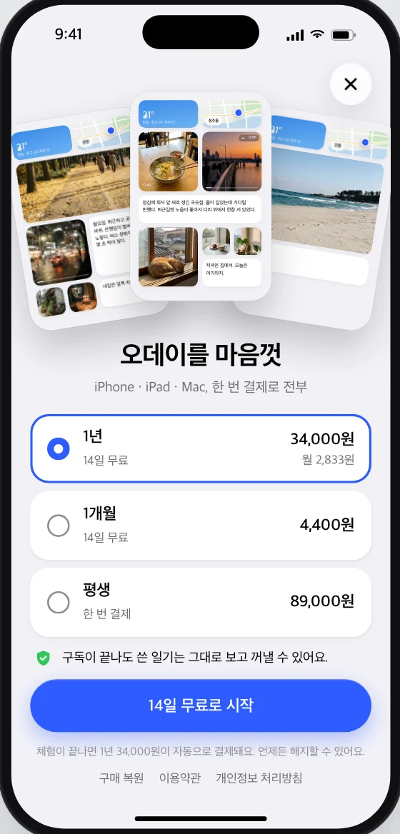 구독 화면. 1년, 1개월, 평생 세 가지